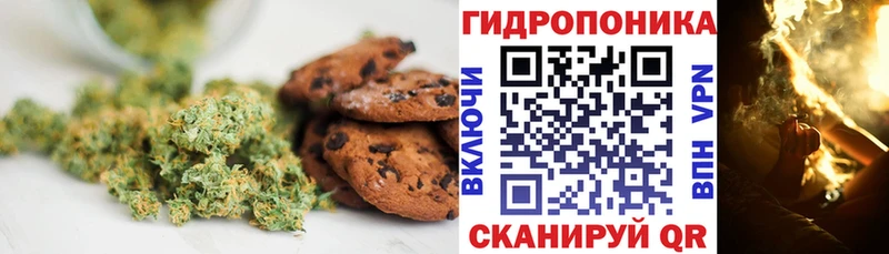 где купить наркоту  Улан-Удэ  OMG   Еда ТГК конопля 