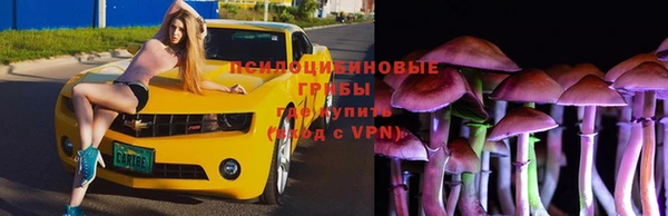 spice Бугульма