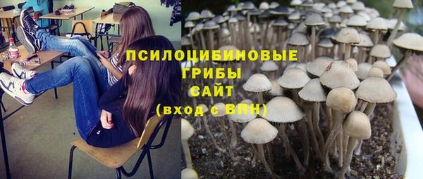 альфа пвп Верхнеуральск